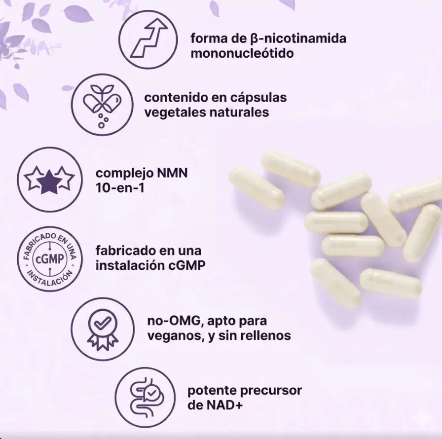 Encabezado