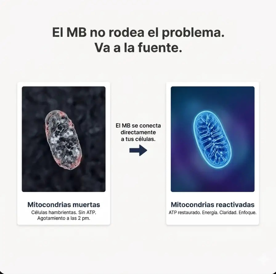 Encabezado