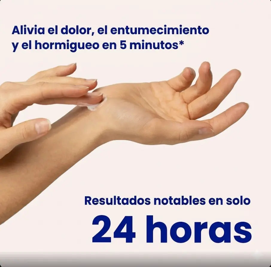 Encabezado