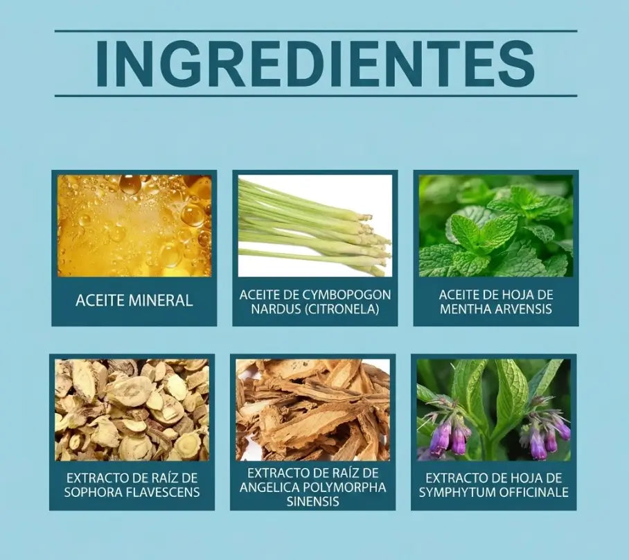 Encabezado