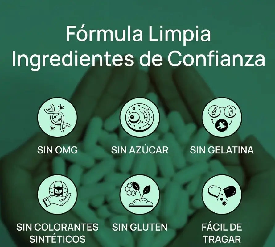 Encabezado