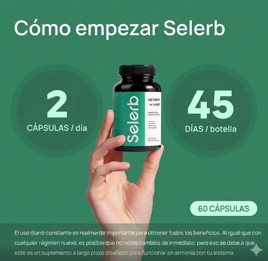 Encabezado