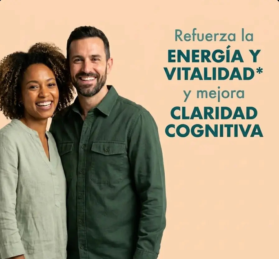 Encabezado