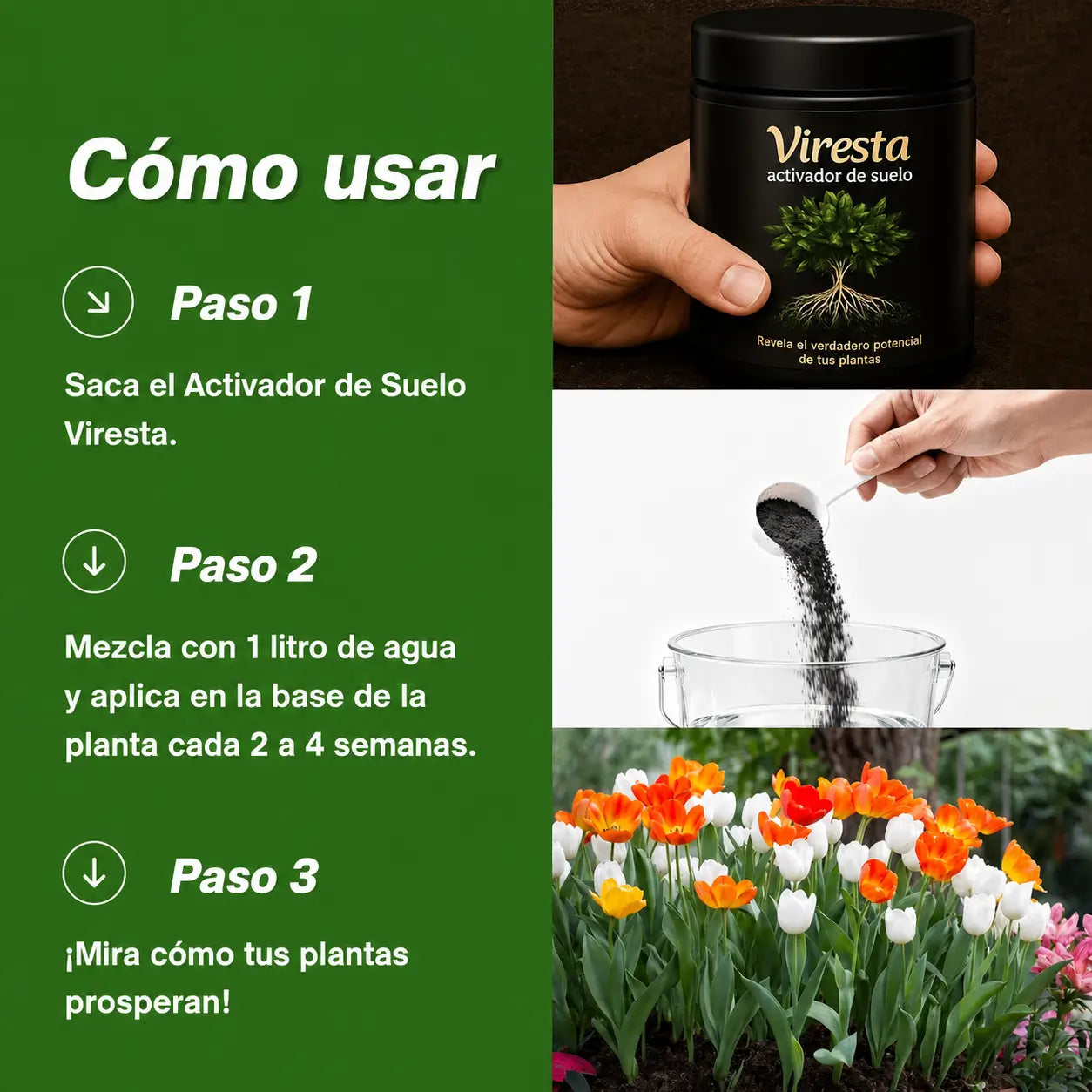 Encabezado