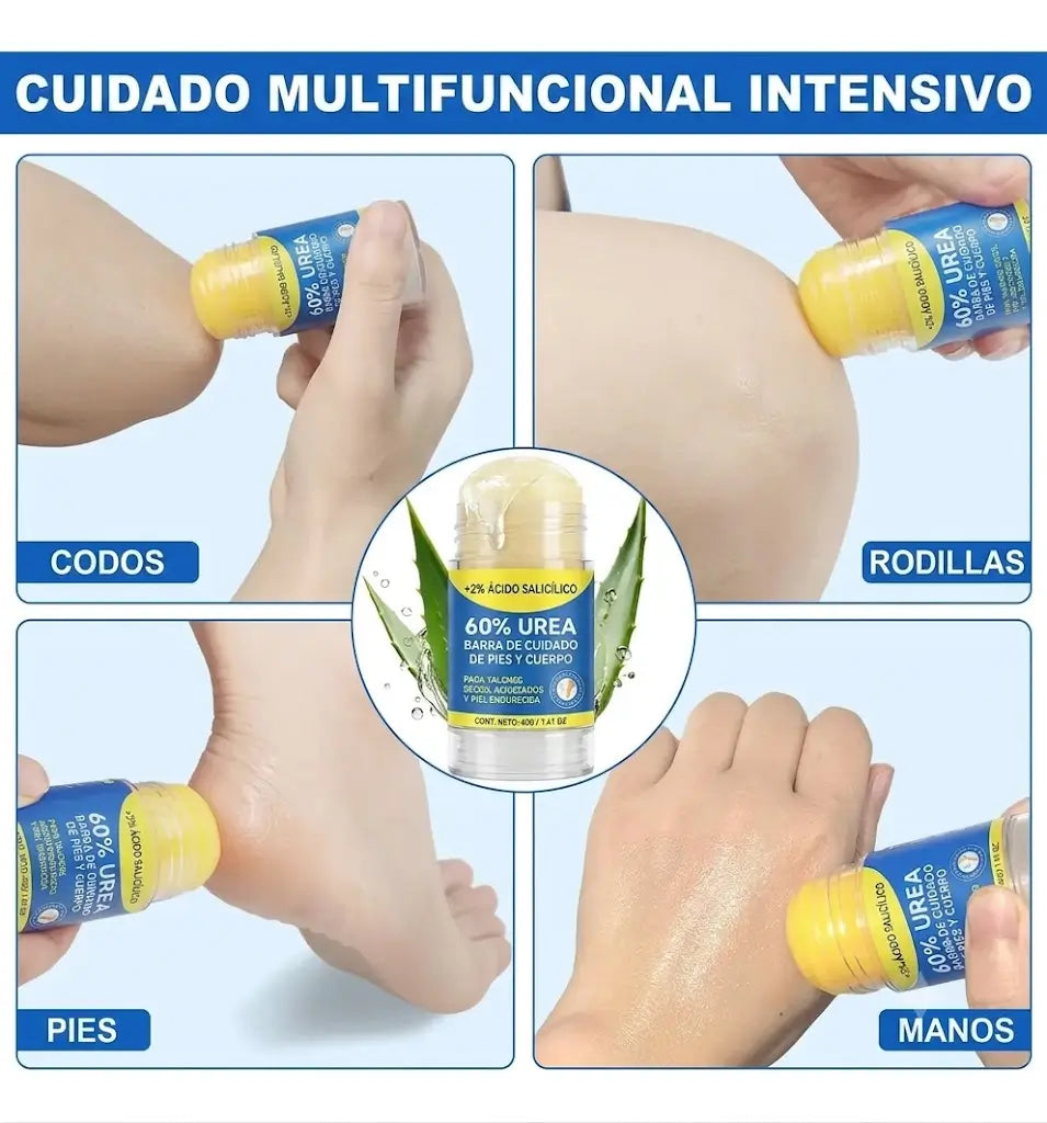 Encabezado