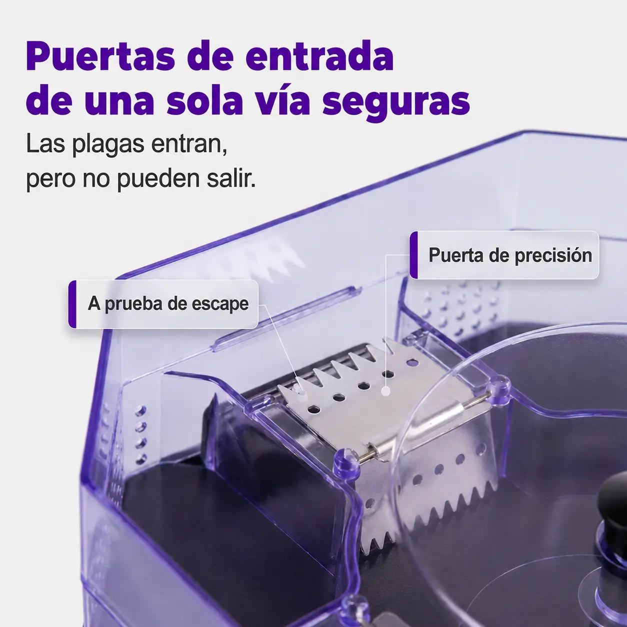 Encabezado