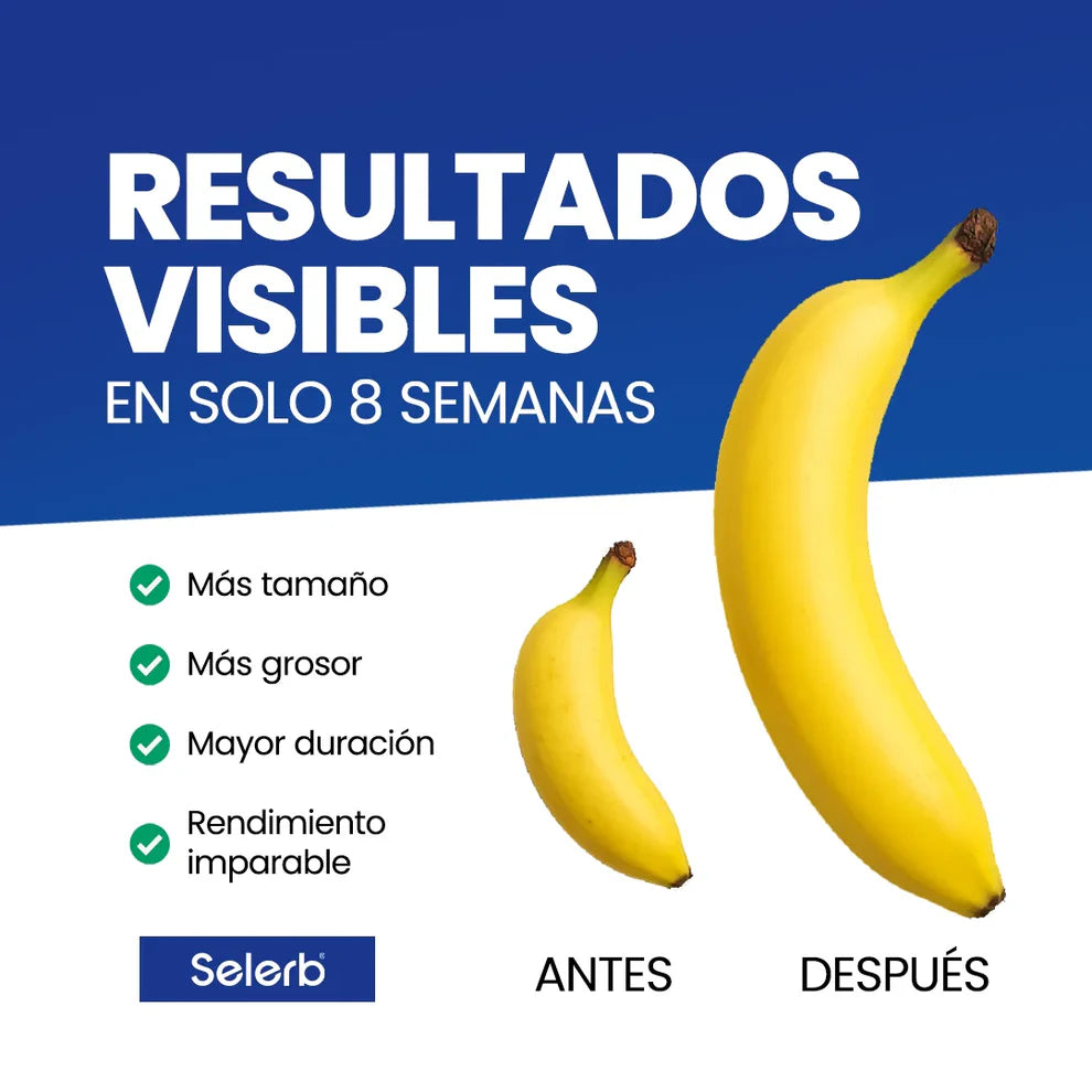 Encabezado