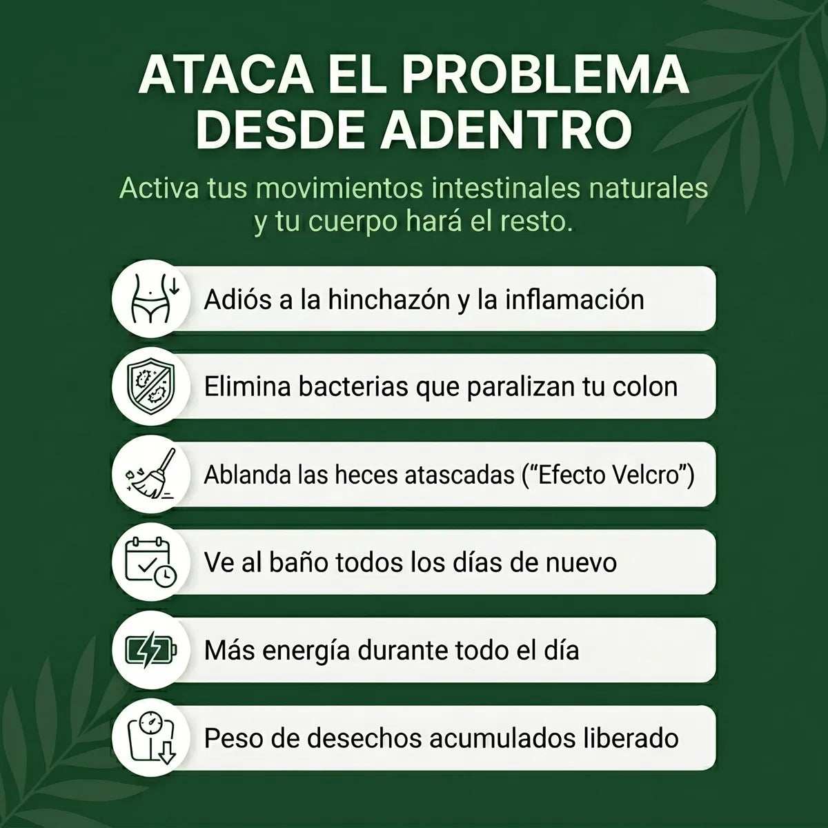 Restora — Limpieza Intestinal Natural x60 Cápsulas