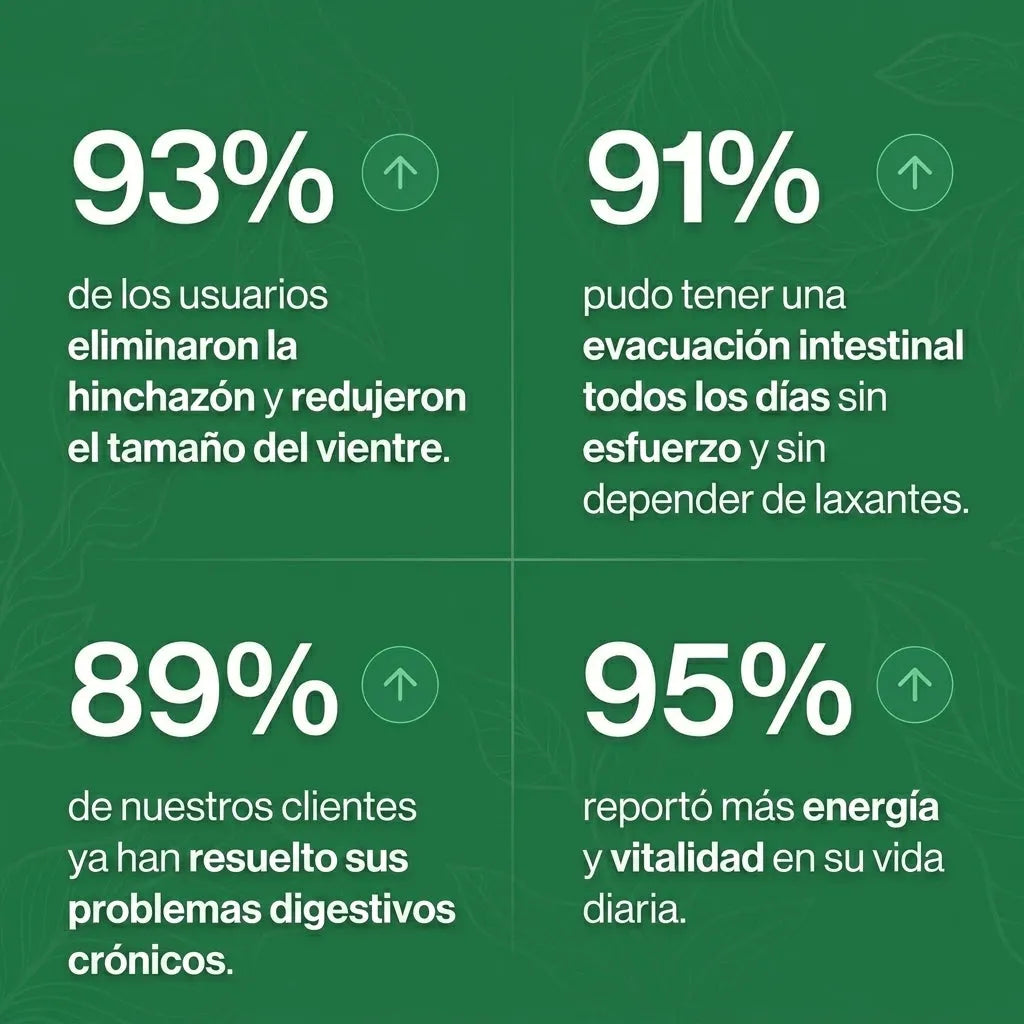 Encabezado