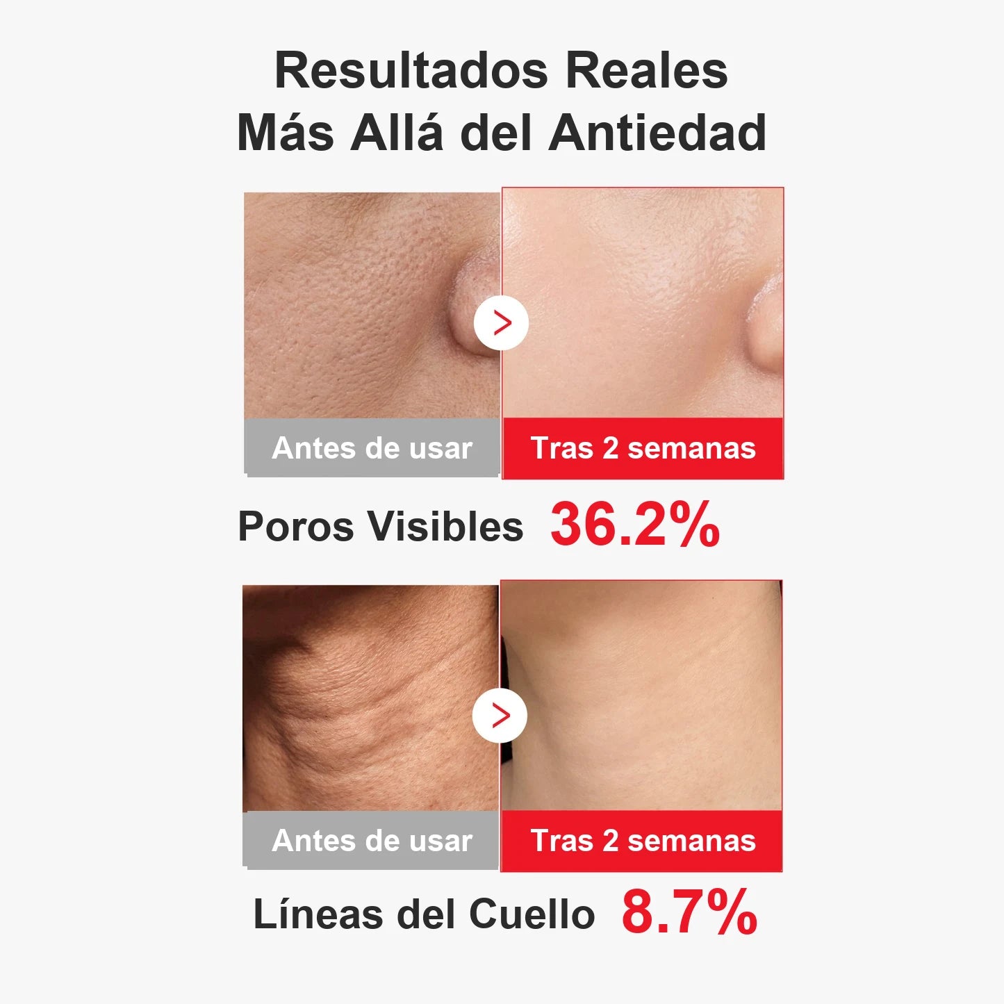 Encabezado