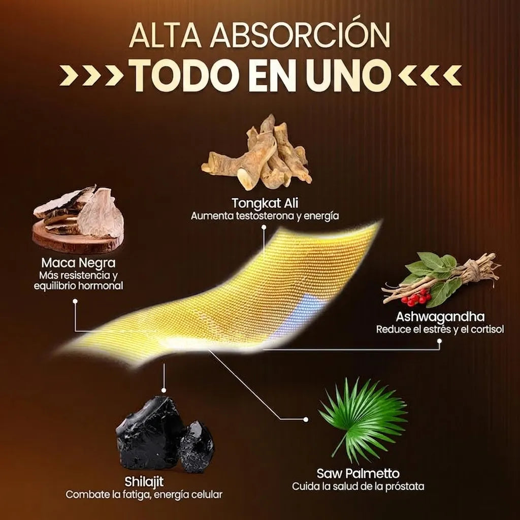 Encabezado