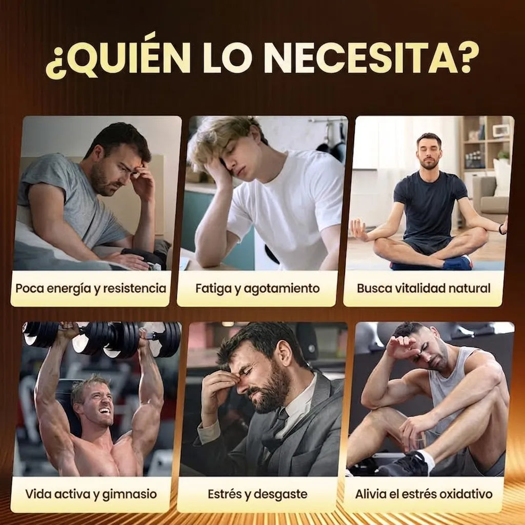 Encabezado