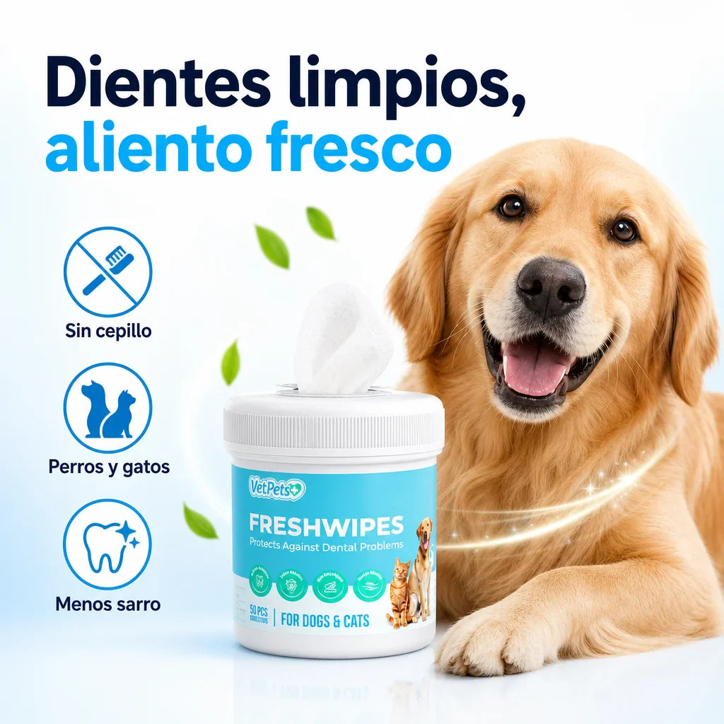 Toallitas Dentales para Perros y Gatos 🐶🦷