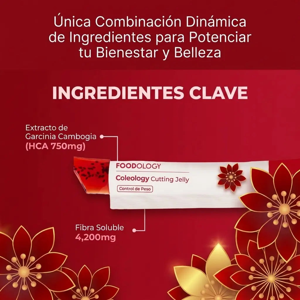 Gelatina Detox Coleology con Garcinia Cambogia y Colágeno x10