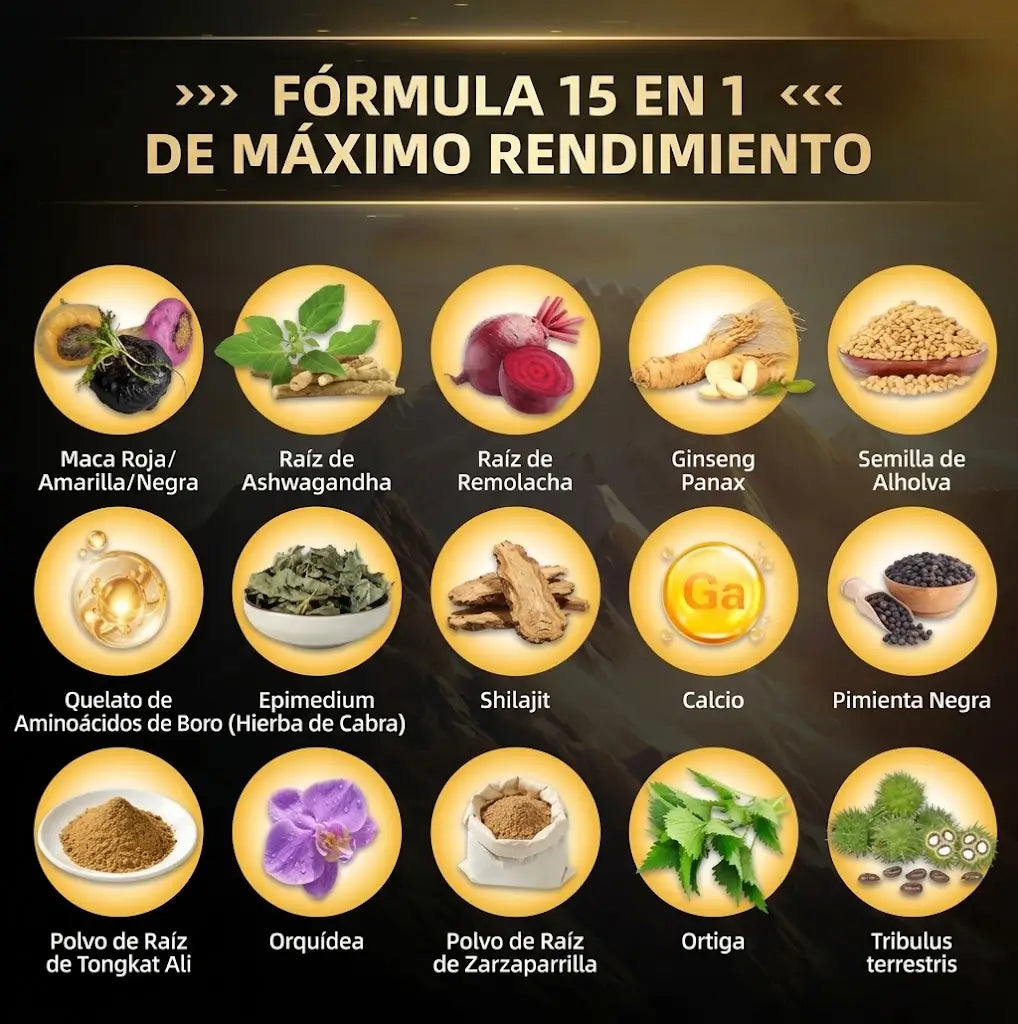 Encabezado