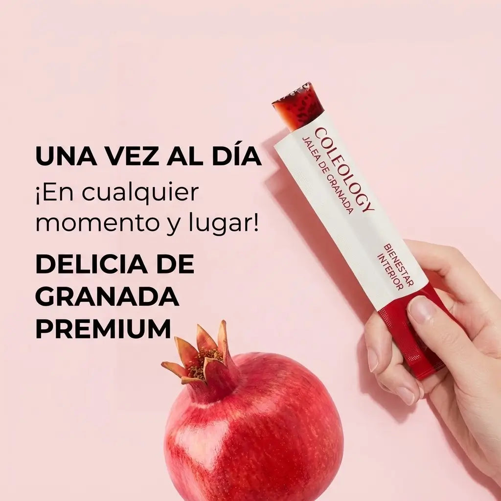 Encabezado